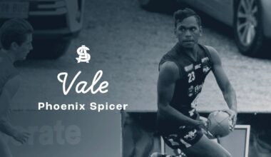 Vale Phoenix Spicer