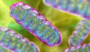 Top science stories of 2025 | News