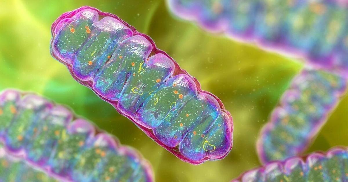 Top science stories of 2025 | News