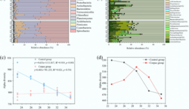 Rising Temperatures Reshape Microbial Carbon Cycling During Animal Carcass Decomposition in Water