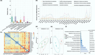 Viruses in Wastewater: Silent Drivers of Pollution Removal and Antibiotic Resistance
