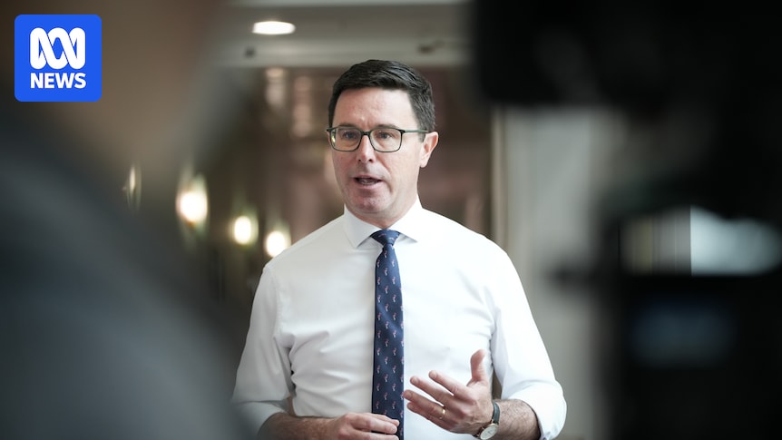 Littleproud challenged for leadership over 'political suicide' split