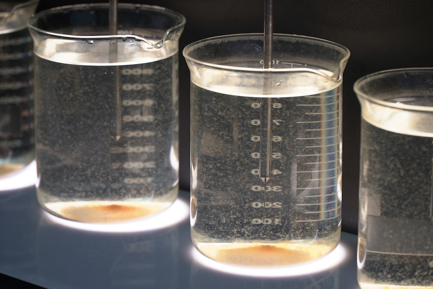 Beakers water contamination 