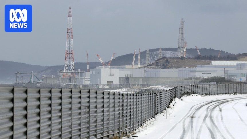Japan restarts nuclear power plant almost 15 years since Fukushima disaster