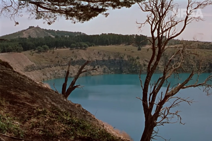 An old restored photo of a blue lake with two trees without leaves in the foreground and steep crater edges in the background.