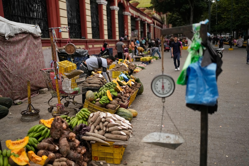 Crates of vegetables are lined up outside a building.