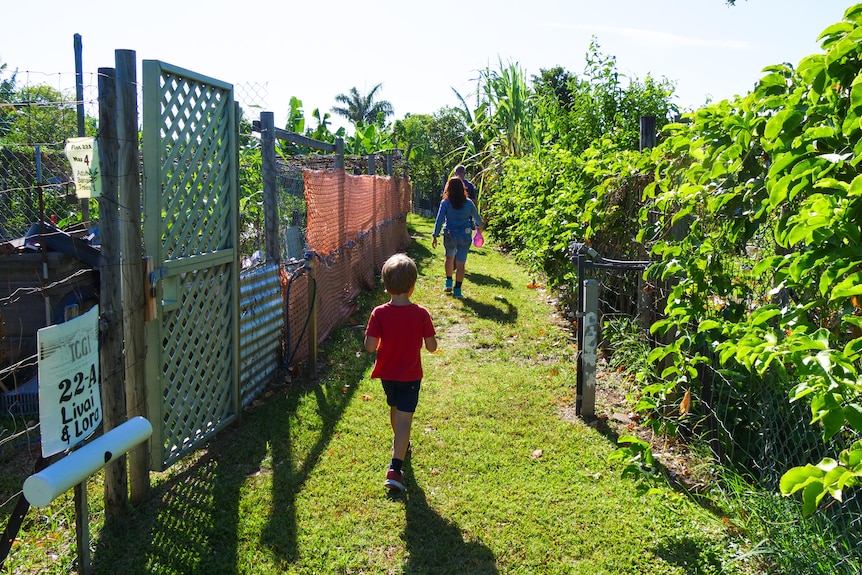 family walking through a grassy lane beside fences covered in green vines