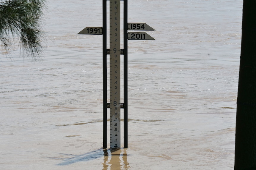 A flood height gauge with a swollen river in the background