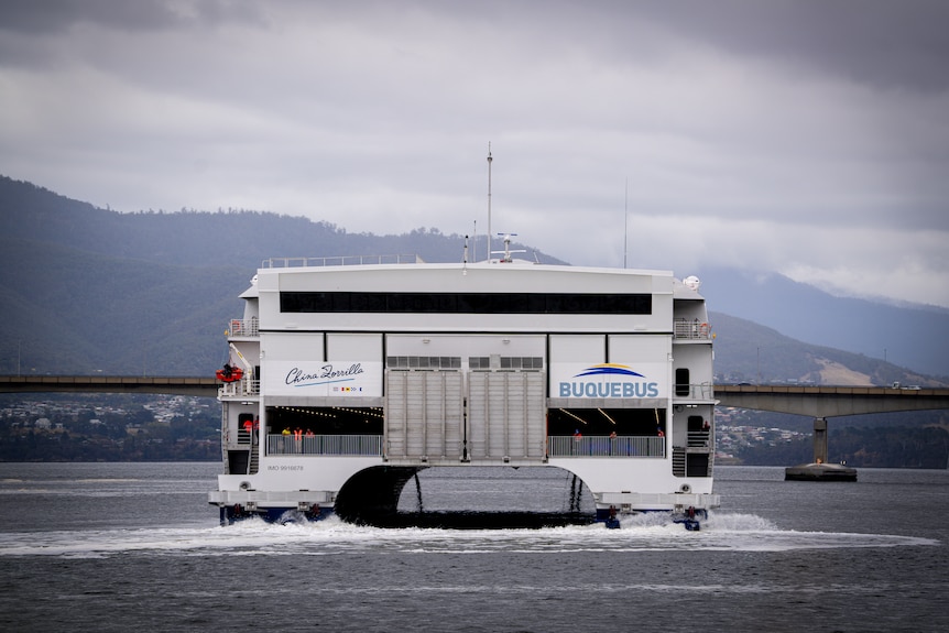 The rear view of a white ship on a river. 