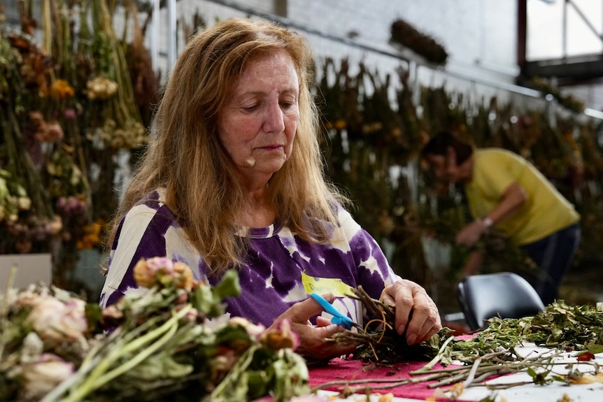 Sydney Jewish Museum curators and volunteers preserve flowers from Bondi memorial