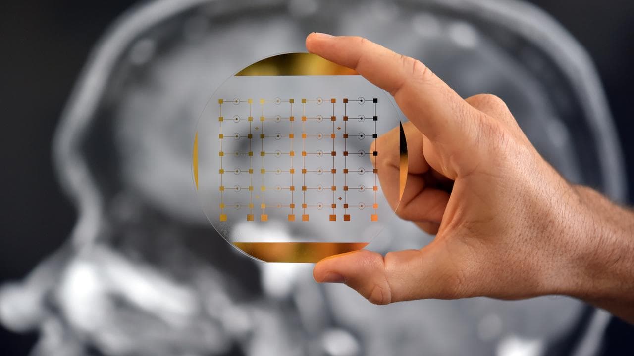 A phenotype analyser chip