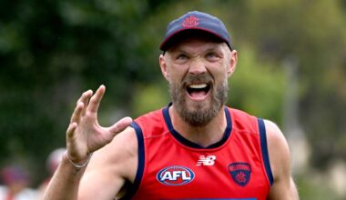 Melbourne Demons: Pickett cousins shine as Max Gawn injured