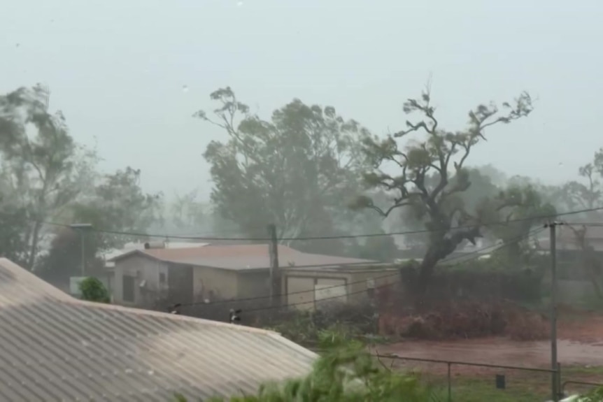 cloudy sky with lots of rain and trees