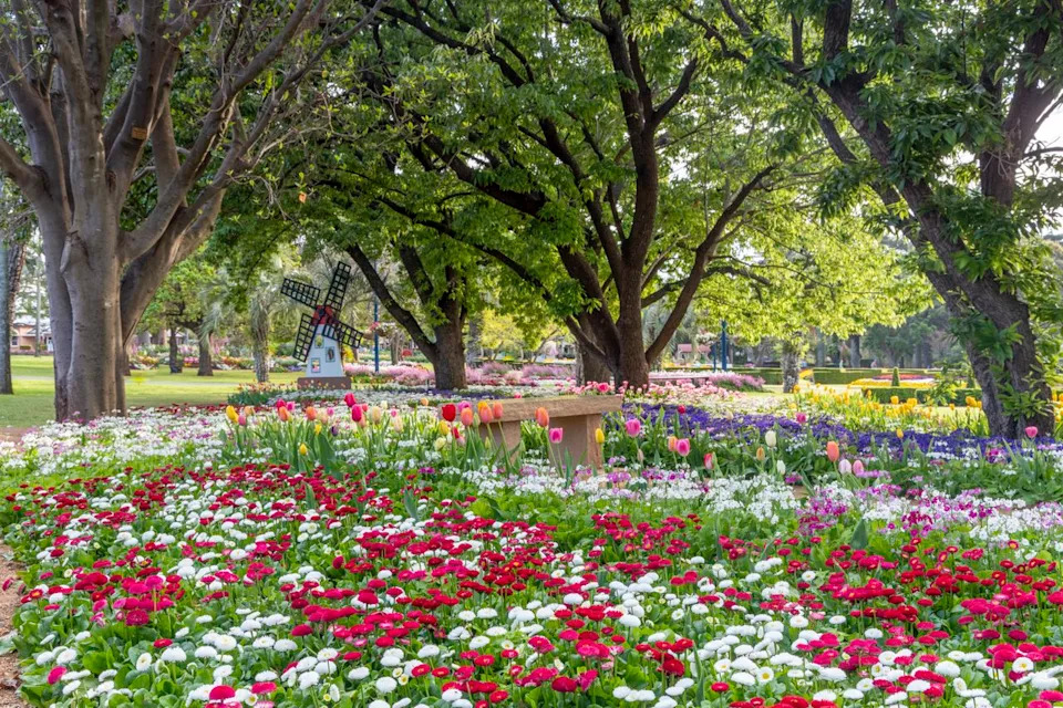 Traceydee Photography / Getty Images Manicured gardens at Laurel Bank Park in Toowoomba. Known as the 