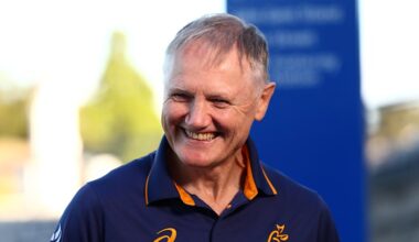 Wallabies coach Joe Schmidt rules himself out of race