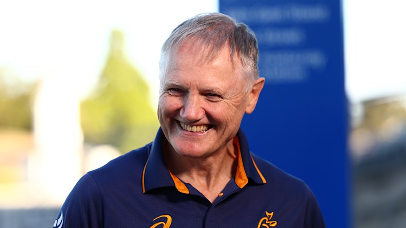 Wallabies coach Joe Schmidt rules himself out of race
