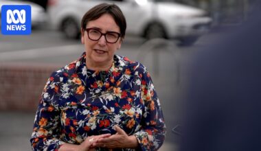 Clark MP Helen Burnet quits Greens to become a Tasmanian independent