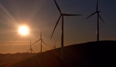 Subscribe to The Australian | Newspaper home delivery, website, iPad, iPhone & Android apps