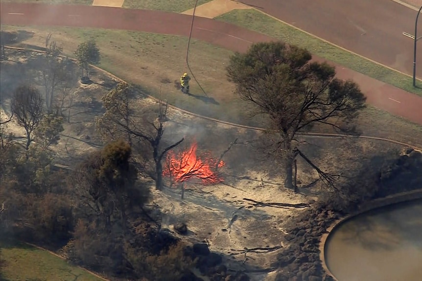 A flame is seen in the bushland as firefighters battle the blaze. 