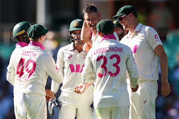 Australia celebrate after Beau Webster struck to dismiss England captain Ben Stokes.