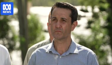 National gun buyback doesn't address antisemitism and hatred, Queensland premier says