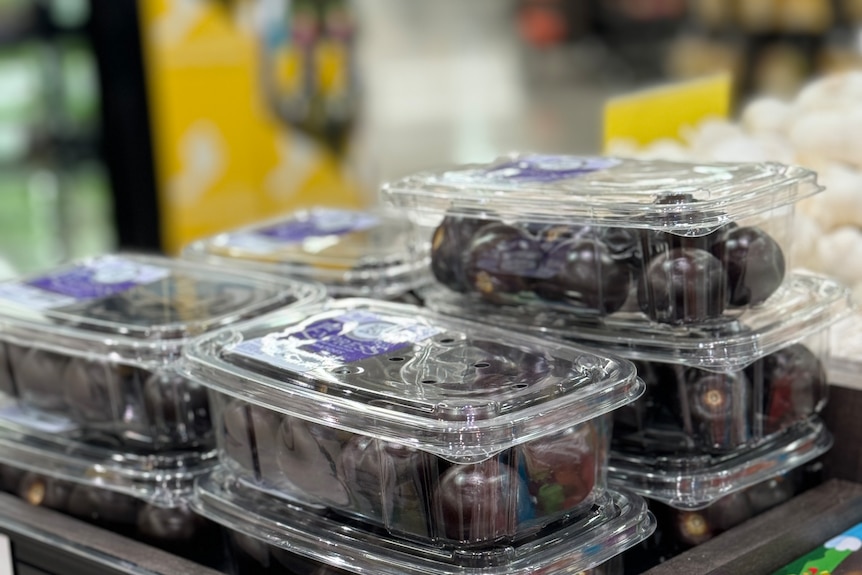 Clear plastic punnetts of dark purple tomatoes sit in a cardboard box in a supermarket