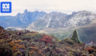 Three walkers rescued from Federation Peak area in Tasmania after one fell from cliff