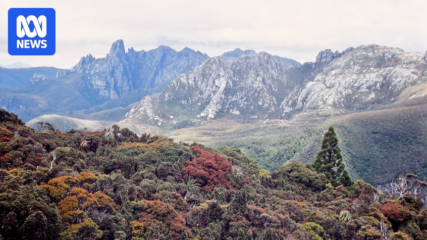 Three walkers rescued from Federation Peak area in Tasmania after one fell from cliff