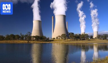 Energy giant AGL offers cash for conservation amid grid strains