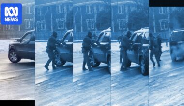 Self defence or murder? What the videos of the Minnesota ICE shooting show us