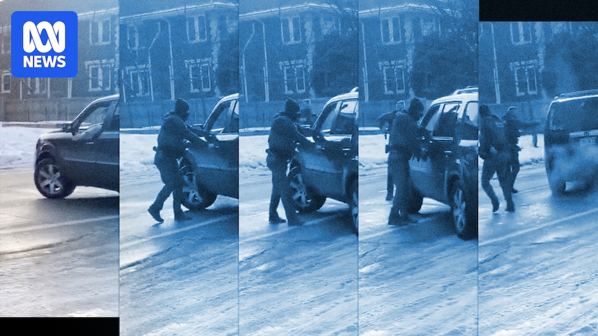 Self defence or murder? What the videos of the Minnesota ICE shooting show us