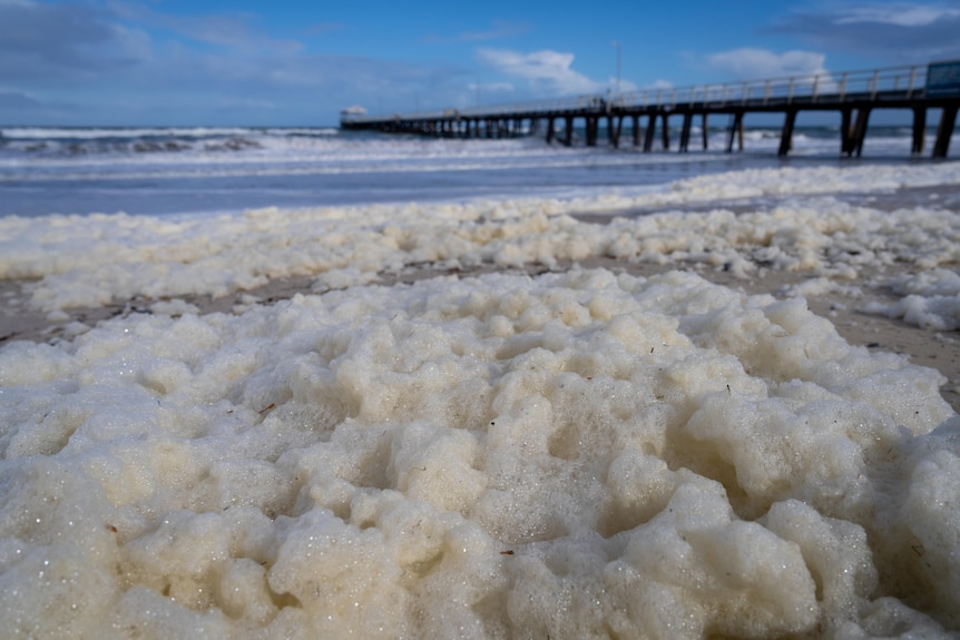 Foam at an Adelaide beach amid an algal bloom.
