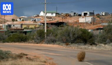 Port Augusta and Andamooka hit 50C with temperatures set to drop across SA