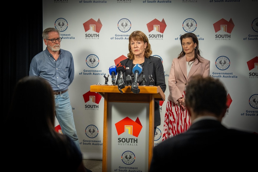 A man and a woman stand either side of a lectern at which a woman is speaking.