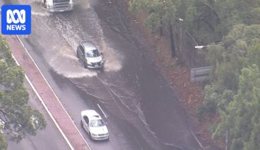 Woman dies after tree falls on her car south of Wollongong as winds and rain lash NSW coast