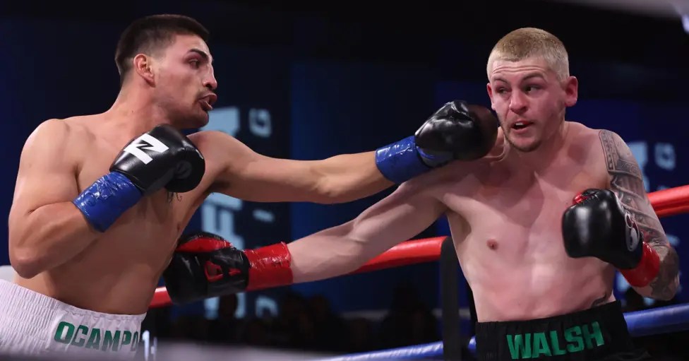 Report Card For Zuffa Boxing 1