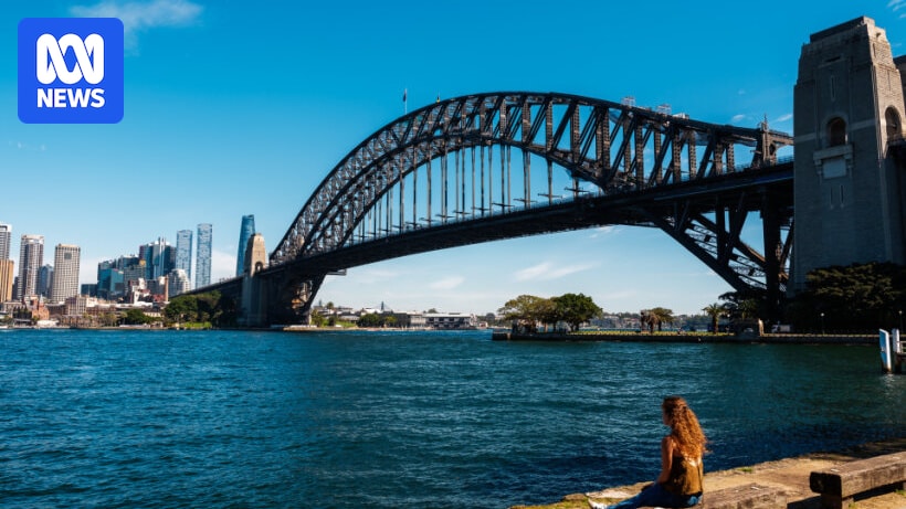 Bull shark tagging and extra drones for NSW beaches following attacks
