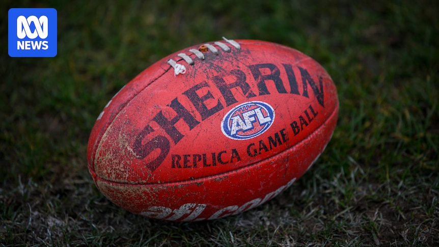 Man hoarding footballs convicted of dangerous driving and fined after years-long 'pranking' by kids