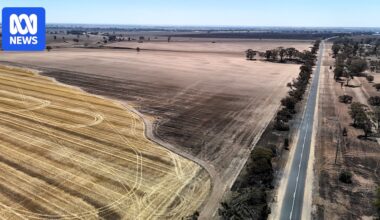 Victoria's bushfires more than five times the size of Singapore