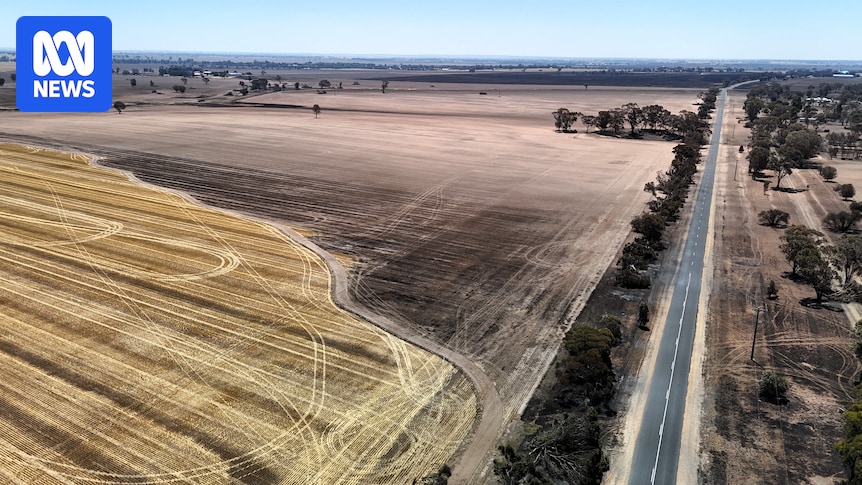 Victoria's bushfires more than five times the size of Singapore