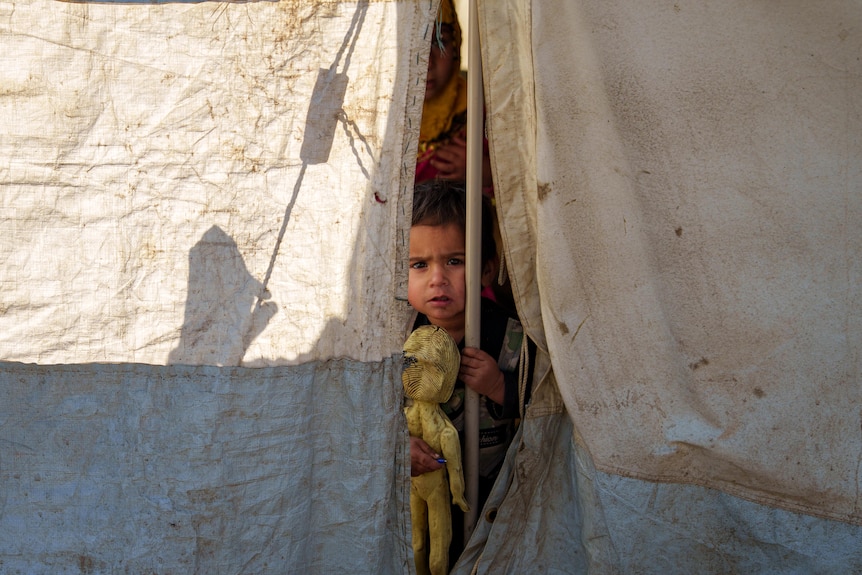 A young boy peeks out from a tent in Afghanistan.