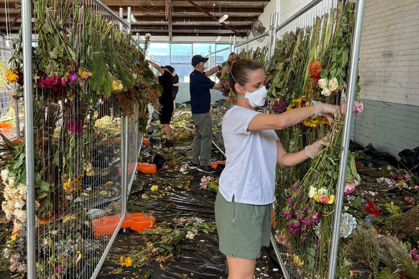 Curators and volunteers worked together to sort through the thousands of flowers.
