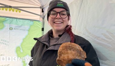 The 'ocean superhero' species in seabed first for NI