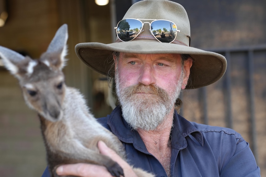 a man and a kangaroo