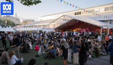 Labor MPs apologise over game of 'shoot, shag or marry' at public festival