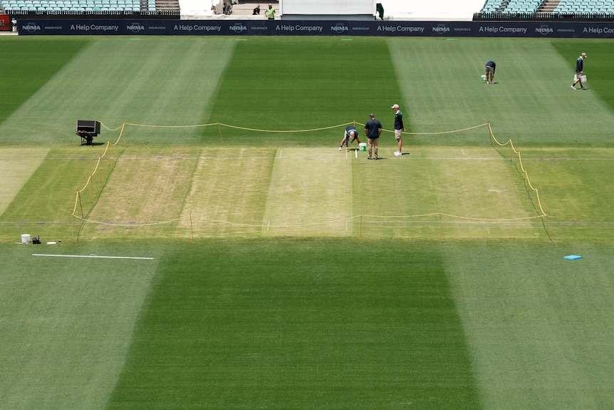 Curators work on the SCG centre wicket