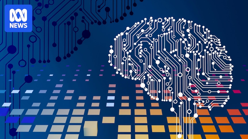 How artificial intelligence is being used across the ACT to provide vital services