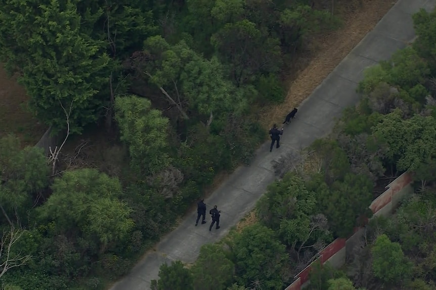 Three police and a police dog search the area near where a crash occured on the Monash Freeway.