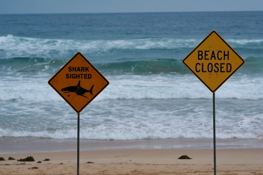 Shark sign on a beach.