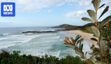 Surfer bitten by shark at Point Plomer on NSW Mid North Coast
